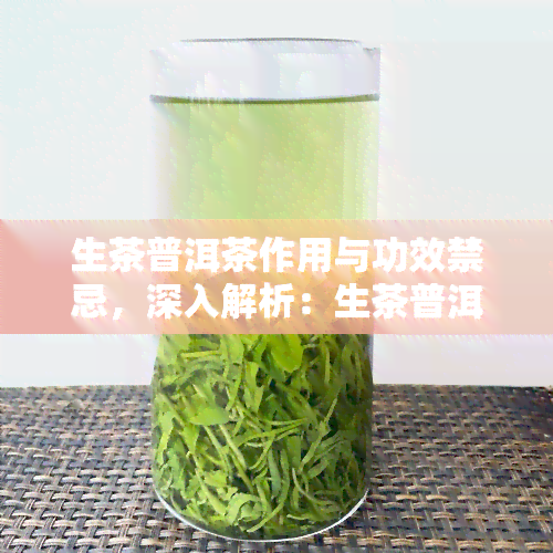 生茶普洱茶作用与功效禁忌，深入解析：生茶普洱茶的作用、功效及使用禁忌