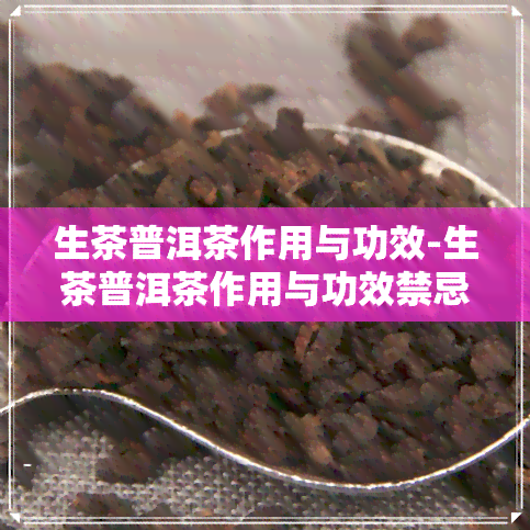 生茶普洱茶作用与功效-生茶普洱茶作用与功效禁忌