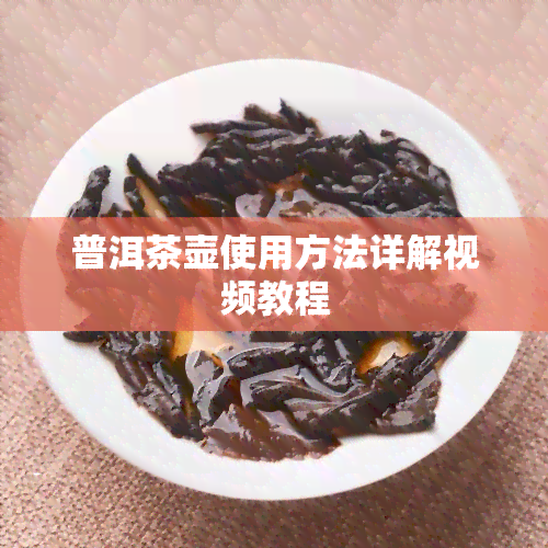 普洱茶壶使用方法详解视频教程