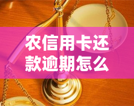 农信用卡还款逾期怎么办，解决之道：农信用卡还款逾期如何处理？