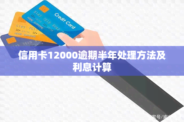 信用卡12000逾期半年处理方法及利息计算