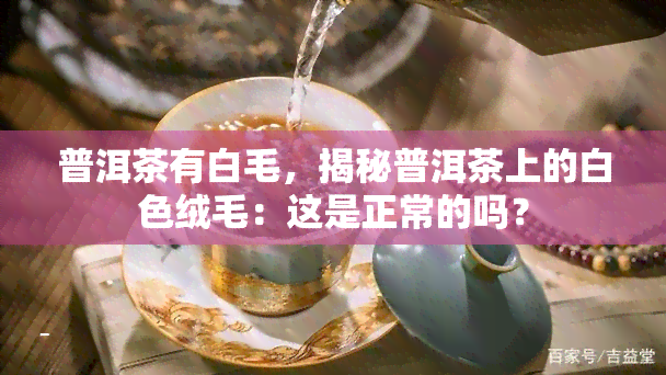 普洱茶有白毛，揭秘普洱茶上的白色绒毛：这是正常的吗？