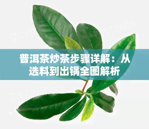 普洱茶炒茶步骤详解：从选料到出锅全图解析