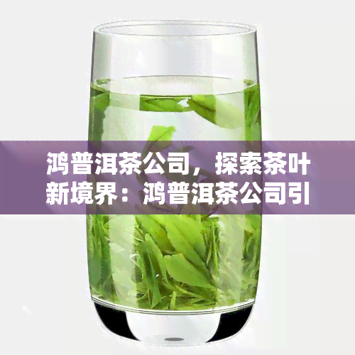 鸿普洱茶公司，探索茶叶新境界：鸿普洱茶公司引领行业创新