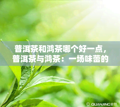 普洱茶和鸿茶哪个好一点，普洱茶与鸿茶：一场味蕾的较量