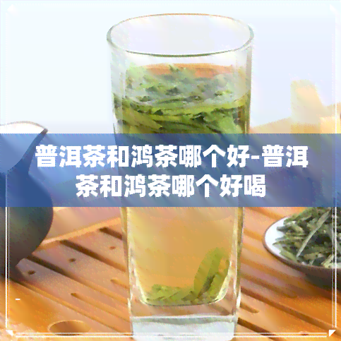 普洱茶和鸿茶哪个好-普洱茶和鸿茶哪个好喝