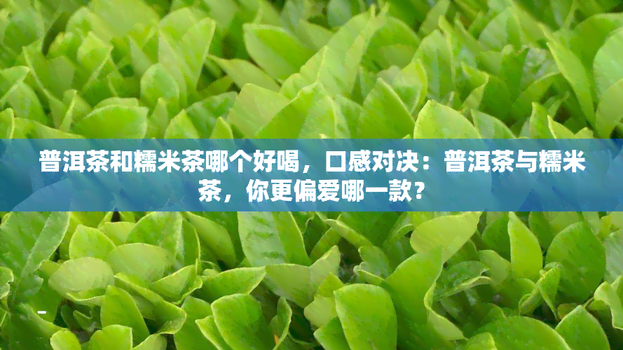 普洱茶和糯米茶哪个好喝，口感对决：普洱茶与糯米茶，你更偏爱哪一款？