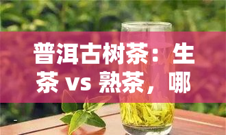 普洱古树茶：生茶 vs 熟茶，哪种更好？