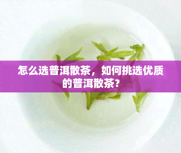 怎么选普洱散茶，如何挑选优质的普洱散茶？