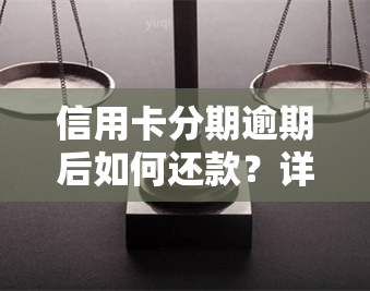 信用卡分期逾期后如何还款？详解欠款处理方法