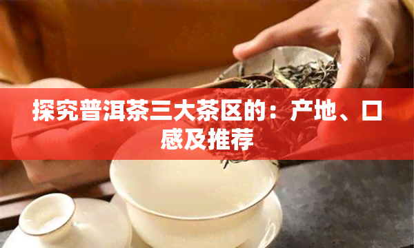 探究普洱茶三大茶区的：产地、口感及推荐