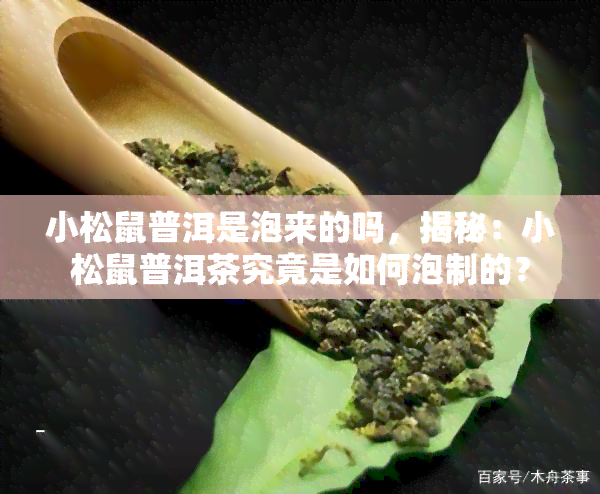 小松鼠普洱是泡来的吗，揭秘：小松鼠普洱茶究竟是如何泡制的？