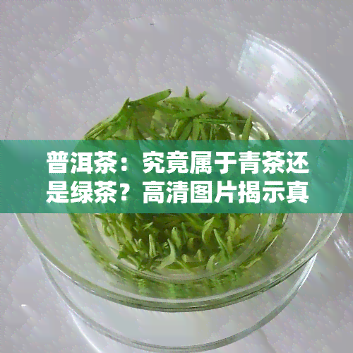 普洱茶：究竟属于青茶还是绿茶？高清图片揭示真相