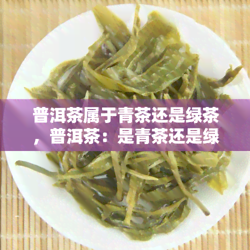 普洱茶属于青茶还是绿茶，普洱茶：是青茶还是绿茶？探讨其分类归属