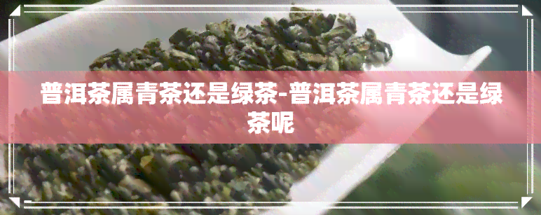 普洱茶属青茶还是绿茶-普洱茶属青茶还是绿茶呢