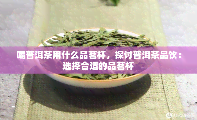 喝普洱茶用什么品茗杯，探讨普洱茶品饮：选择合适的品茗杯