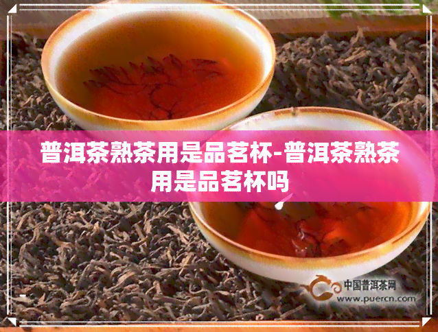 普洱茶熟茶用是品茗杯-普洱茶熟茶用是品茗杯吗