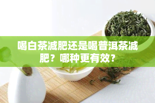 喝白茶减肥还是喝普洱茶减肥？哪种更有效？