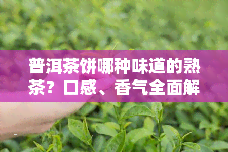 普洱茶饼哪种味道的熟茶？口感、香气全面解析