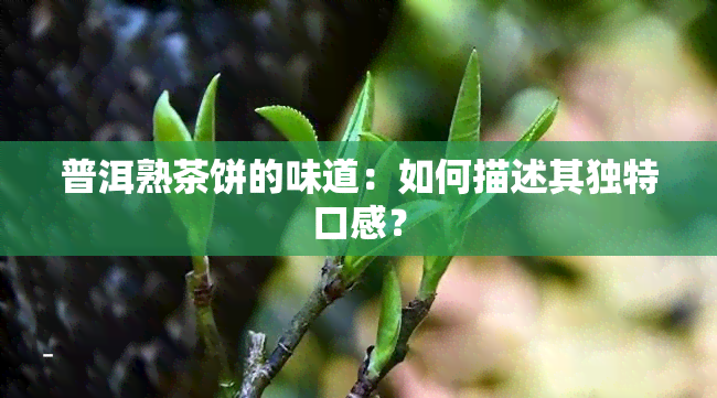 普洱熟茶饼的味道：如何描述其独特口感？