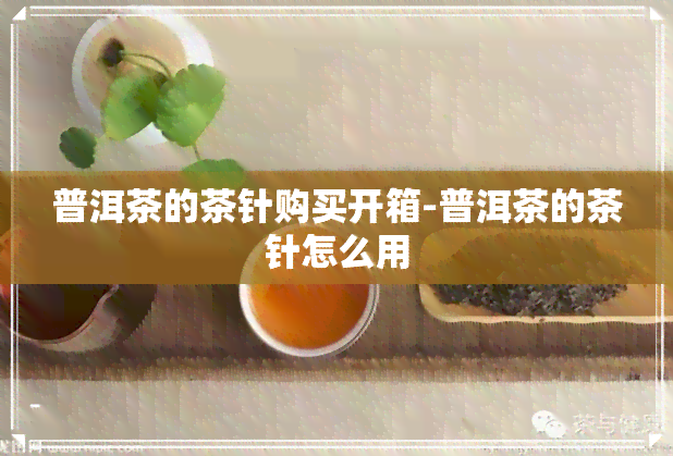 普洱茶的茶针购买开箱-普洱茶的茶针怎么用