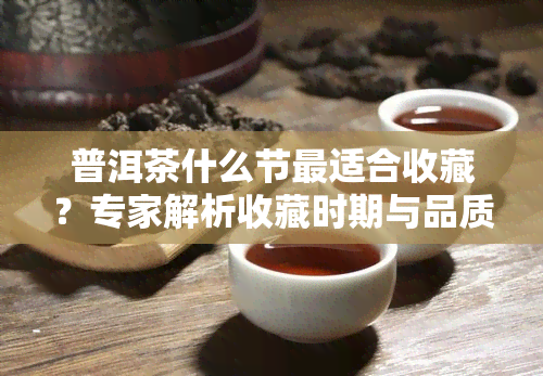 普洱茶什么节最适合收藏？专家解析收藏时期与品质优劣