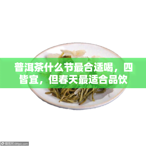 普洱茶什么节最合适喝，四皆宜，但春天最适合品饮普洱茶的四大理由