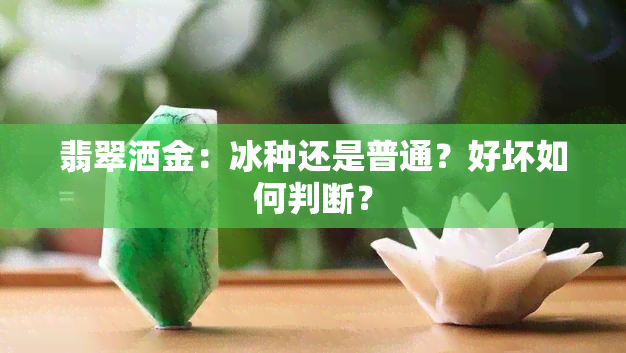 翡翠洒金：冰种还是普通？好坏如何判断？