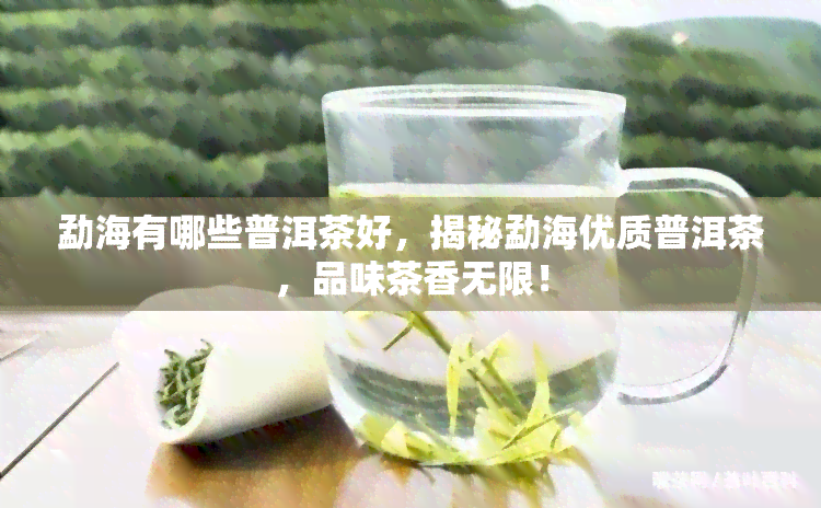 勐海有哪些普洱茶好，揭秘勐海优质普洱茶，品味茶香无限！