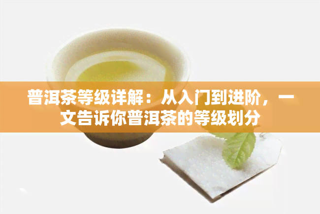 普洱茶等级详解：从入门到进阶，一文告诉你普洱茶的等级划分