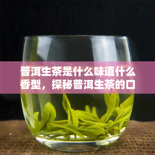 普洱生茶是什么味道什么香型，探秘普洱生茶的口感与香气：你不可错过的茶叶体验