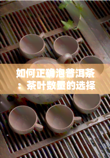 如何正确泡普洱茶：茶叶数量的选择与实践