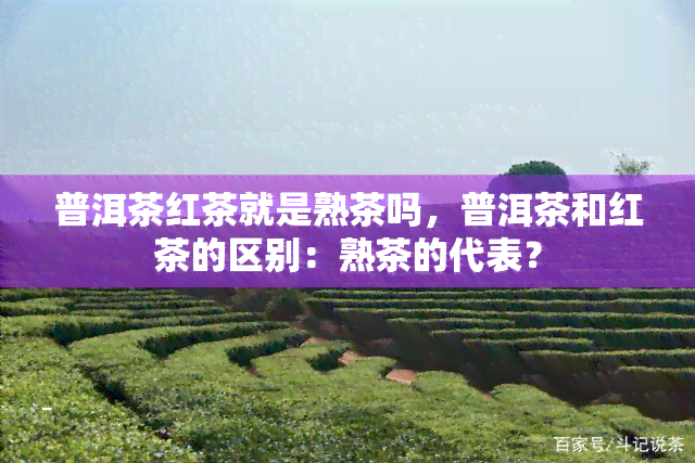 普洱茶红茶就是熟茶吗，普洱茶和红茶的区别：熟茶的代表？