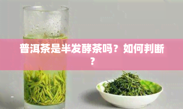 普洱茶是半发酵茶吗？如何判断？