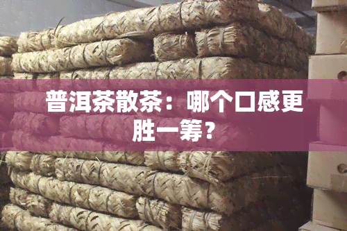 普洱茶散茶：哪个口感更胜一筹？