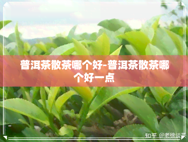 普洱茶散茶哪个好-普洱茶散茶哪个好一点