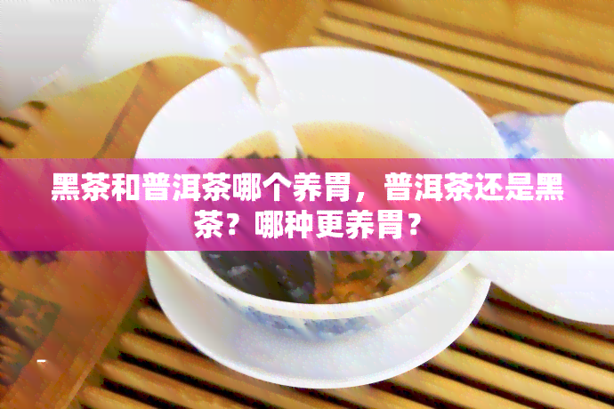 黑茶和普洱茶哪个养胃，普洱茶还是黑茶？哪种更养胃？