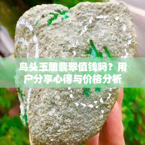 鸟头玉雕翡翠值钱吗？用户分享心得与价格分析