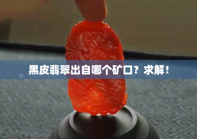 黑皮翡翠出自哪个矿口？求解！