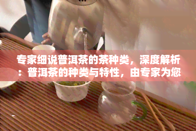 专家细说普洱茶的茶种类，深度解析：普洱茶的种类与特性，由专家为您细细解读