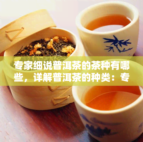 专家细说普洱茶的茶种有哪些，详解普洱茶的种类：专家带你了解不同茶种的特点与区别