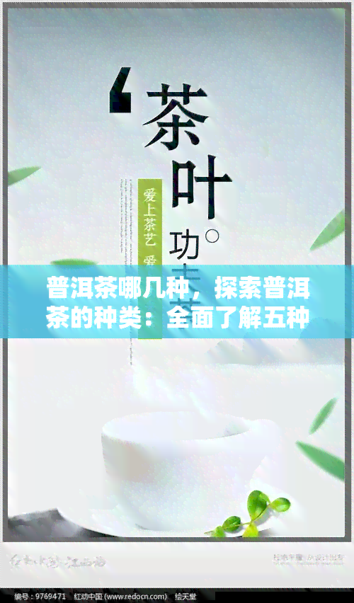 普洱茶哪几种，探索普洱茶的种类：全面了解五种不同的普洱茶