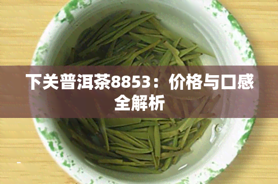 下关普洱茶8853：价格与口感全解析