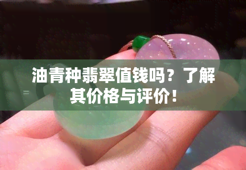 油青种翡翠值钱吗？了解其价格与评价！