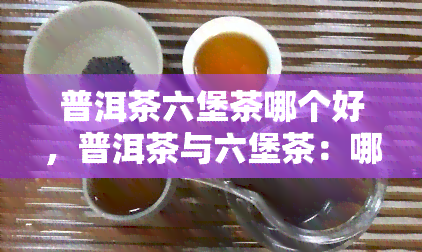 普洱茶六堡茶哪个好，普洱茶与六堡茶：哪种更好？