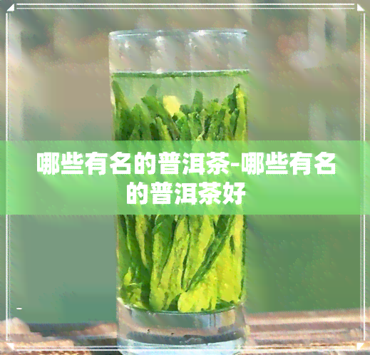 哪些有名的普洱茶-哪些有名的普洱茶好