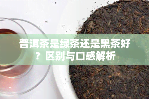 普洱茶是绿茶还是黑茶好？区别与口感解析