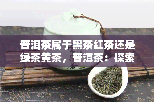 普洱茶属于黑茶红茶还是绿茶黄茶，普洱茶：探索其在黑茶、红茶、绿茶和黄茶中的归属