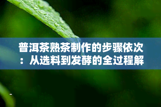 普洱茶熟茶制作的步骤依次：从选料到发酵的全过程解析