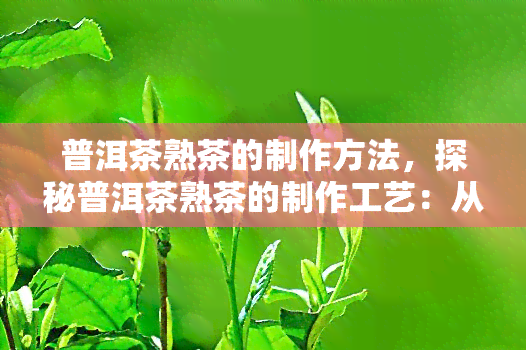 普洱茶熟茶的制作方法，探秘普洱茶熟茶的制作工艺：从原料到成品的全过程解析